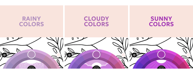 Introducing the Weather Wheel with over 700 different shades and a color picker 😍