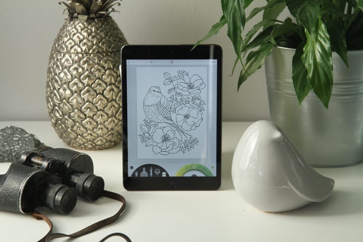 Interview with the Artist: Victoria Johnson